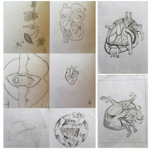 heart-images—art